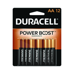 Power Boost CopperTop Alkaline AA Batteries, 12/Pack