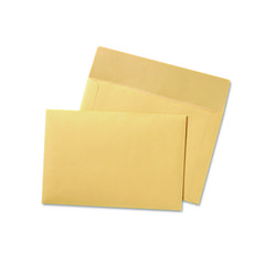 Filing Envelopes, Letter Size, Cameo Buff, 100/box