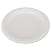 SCT(R) ChampWare(TM) Heavyweight Bagasse Dinnerware