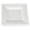 SCT(R) ChampWare(TM) Molded Fiber Tableware