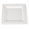 SCT(R) ChampWare(TM) Molded Fiber Tableware