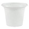 Plastifar Plastic Souffle Cups