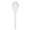 Eco-Products(R) Plantware(R) Compostable Cutlery