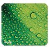 Allsop(R) Naturesmart(TM) Mouse Pad