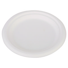 SCT(R) ChampWare(TM) Heavyweight Bagasse Dinnerware