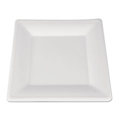 SCT(R) ChampWare(TM) Molded Fiber Tableware