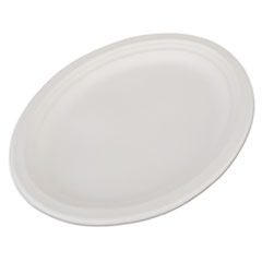 SCT(R) ChampWare(TM) Molded Fiber Tableware